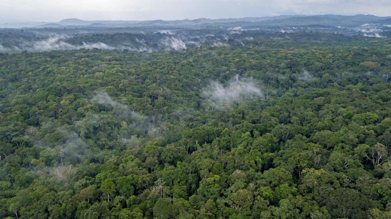 Gorilla Leisure Lodge Kisoro المظهر الخارجي الصورة