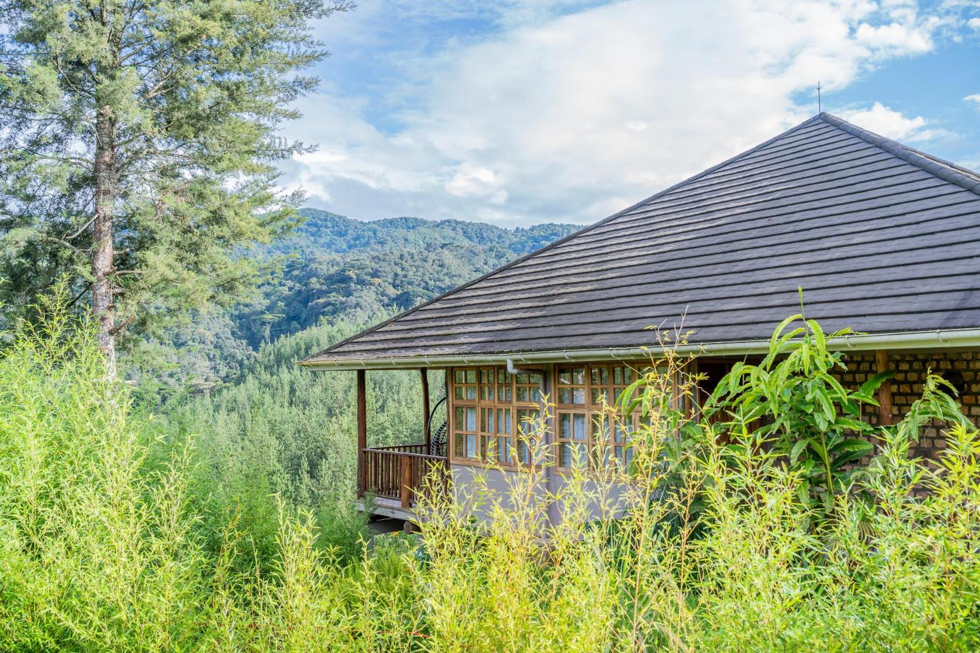 Gorilla Leisure Lodge Kisoro المظهر الخارجي الصورة