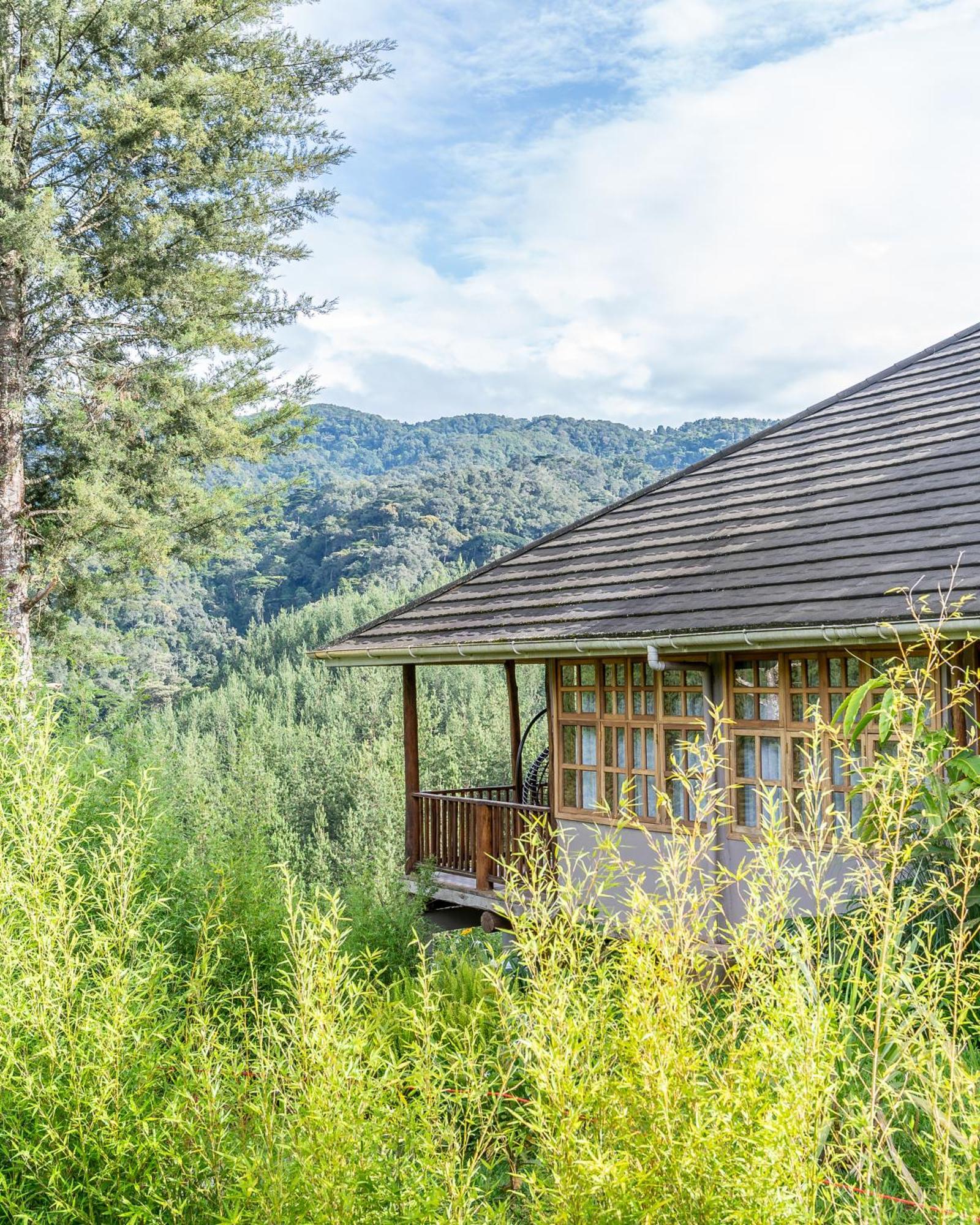 Gorilla Leisure Lodge Kisoro المظهر الخارجي الصورة